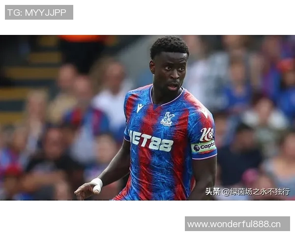 前水晶宫老板遭9700万美元索赔多家俱乐部集团陷入财务危机