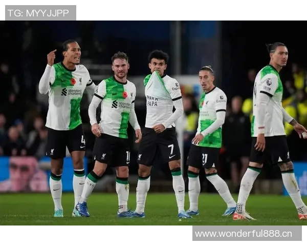 费迪南德分析加克波与迪亚斯的差距利物浦新援尚需时间融入球队