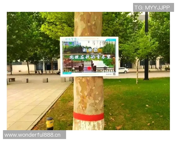 告别武汉三镇的温暖时光感恩这段旅程的每一个瞬间